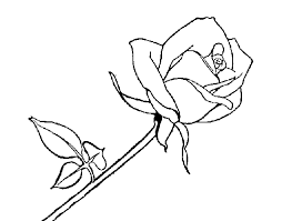 Featured image of post Rosas Animadas Para Dibujar Dibujo de ramo de rosas amarillas brillando