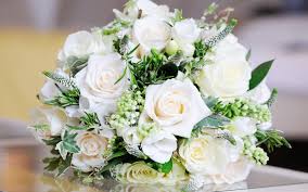 fotos de rosas blancas para mi boda