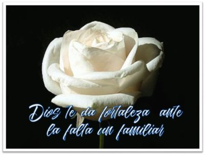 imagenes de rosas blancas con frases de luto familiar