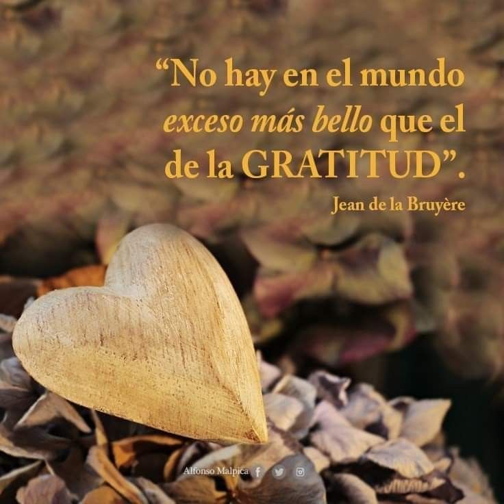 El exceso más bello del mundo es la gratitud